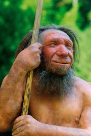 (c) Neanderthal Museum
