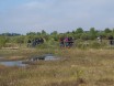 Biologen in freier Wildbahn