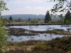 Biologen in freier Wildbahn