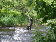 Biologie unterwegs: Mit dem rollenden Labor der Umweltakademie an die Rur