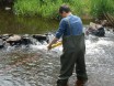 Biologieunterricht vor Ort: Ein rollendes Labor macht Station an der Rur