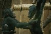 Neulich im Zoo...