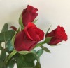 Rosen zum Valentinstag