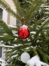 Wir erfüllen Weihnachtswünsche, seid dabei!