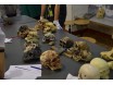 Zu Besuch im Neanderthal